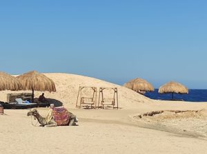 sharm-el-naga-06