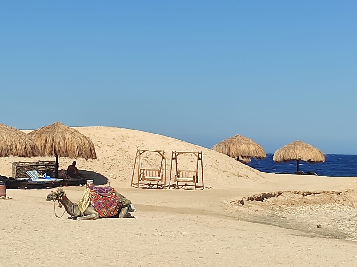 sharm-el-naga-06