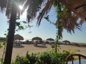 sharm-el-naga-11
