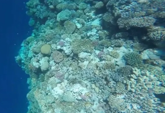 golubaya-dyra-v-sharm-el-shejhe-03