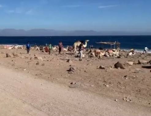 kanon-salama-v-sharm-el-shejhe-09